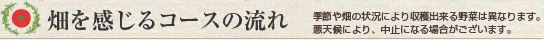 畑を感じるコース流れ